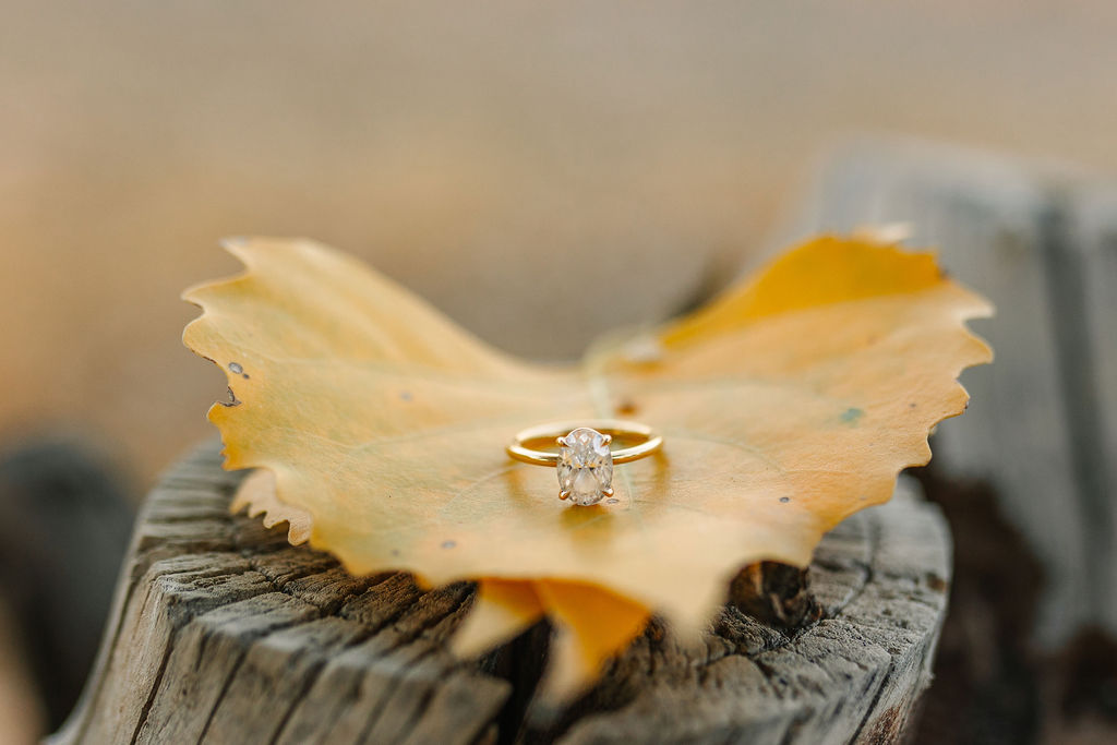 gold and diamond engagement ring laying on a leaf